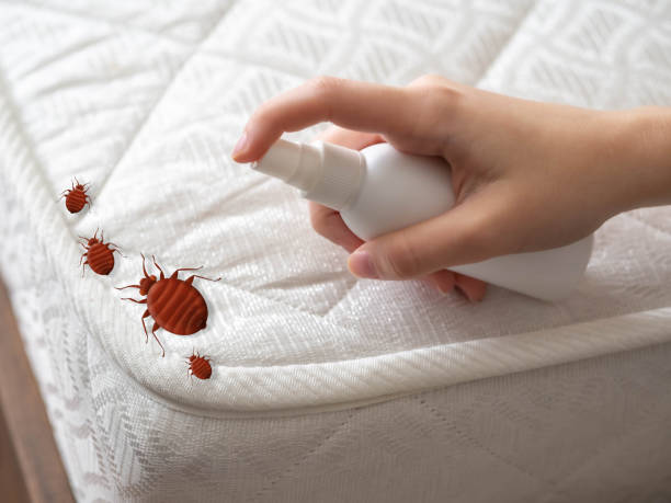 Best Pest Control for Businesses  in Seffner, FL