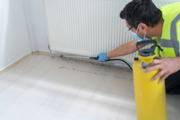 Best Bed Bug Extermination  in Seffner, FL